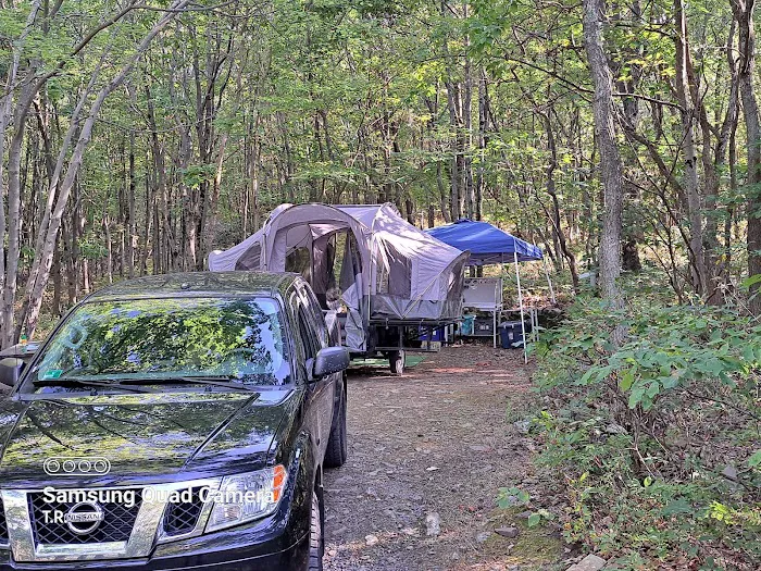 Peaceful Woodlands Family Campground Picture 6