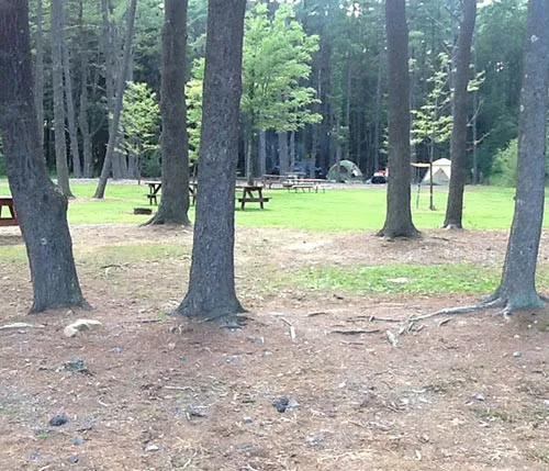 Evergreen Lake Picture 2