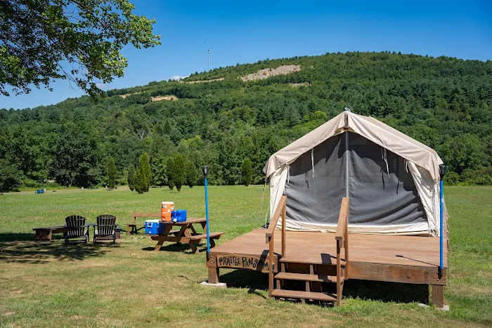 Blue Mountain Camping & Glamping Picture 8