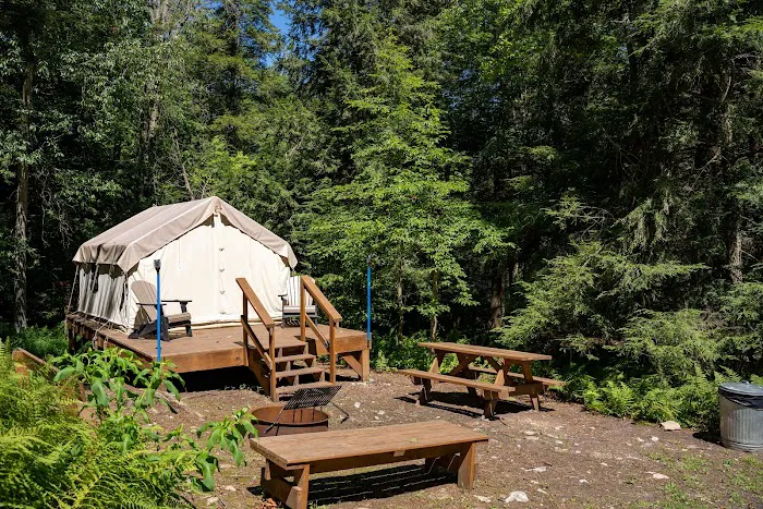 Blue Mountain Camping & Glamping Picture 4