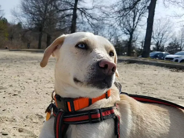 Durland Scout Reservation Visitors Center Picture 2