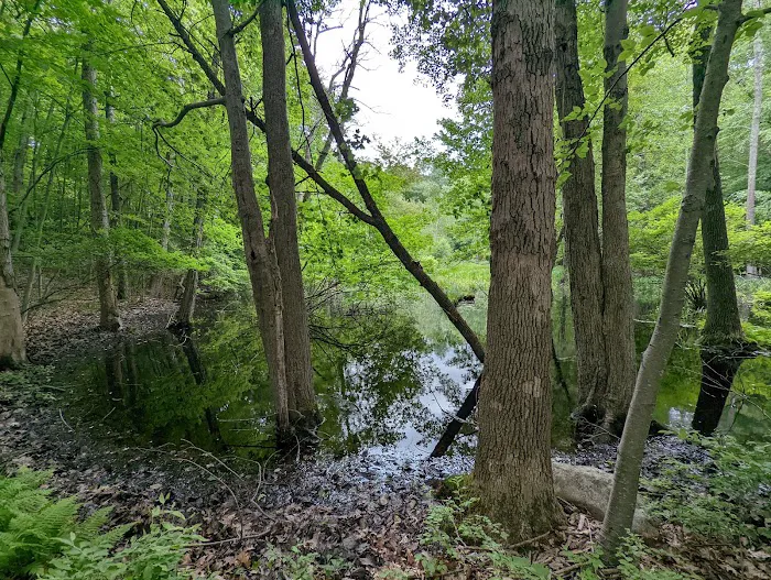 Agatha A. Durland Scout Reservation Picture 4
