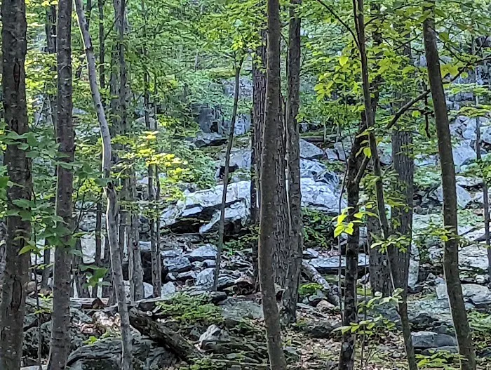 Agatha A. Durland Scout Reservation Picture 6