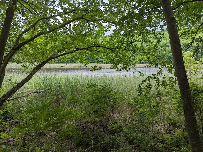 Agatha A. Durland Scout Reservation Picture 9