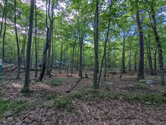 Agatha A. Durland Scout Reservation Picture 5