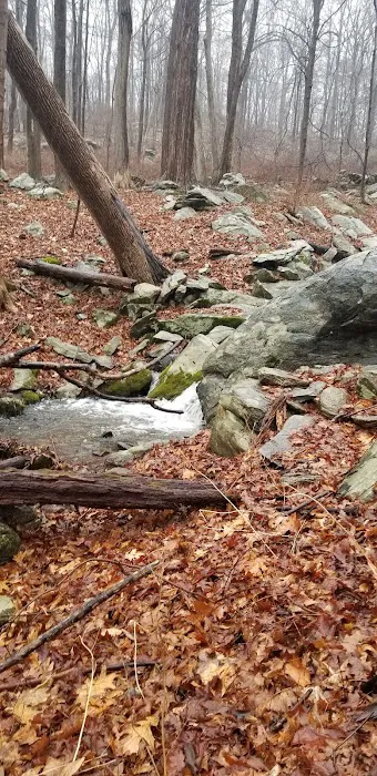 Agatha A. Durland Scout Reservation Picture 10