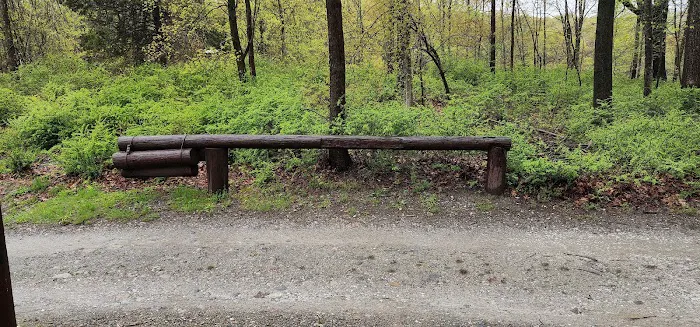 Agatha A. Durland Scout Reservation Picture 3