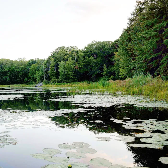 Fahnestock State Park Campground Picture 10