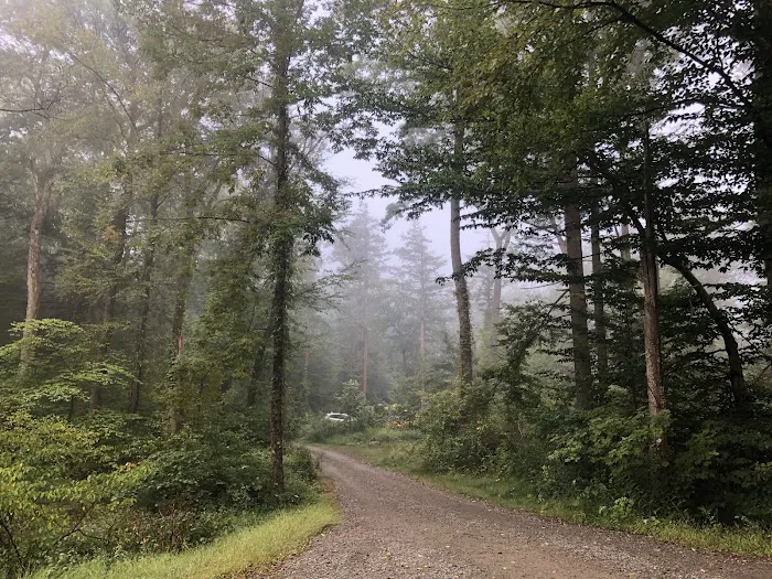 Fahnestock State Park Campground Picture 6