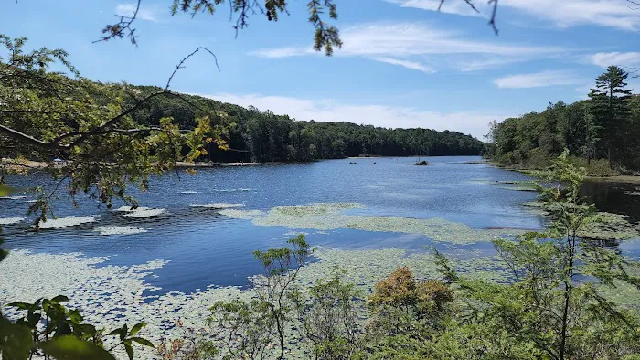 Fahnestock State Park Campground Picture 1