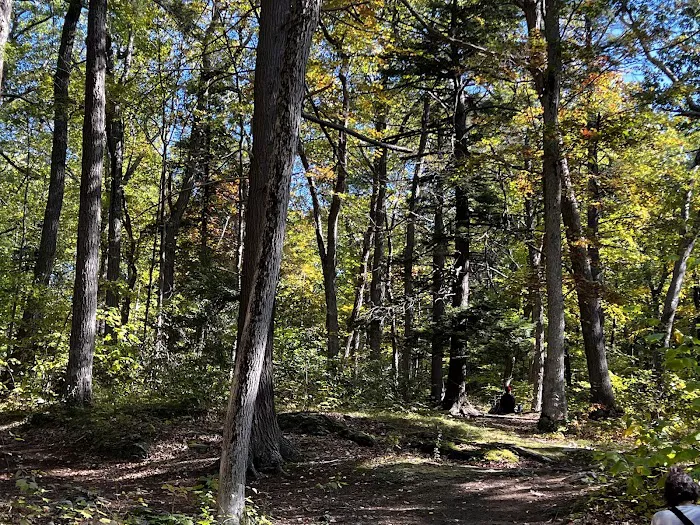 Fahnestock State Park Campground Picture 9