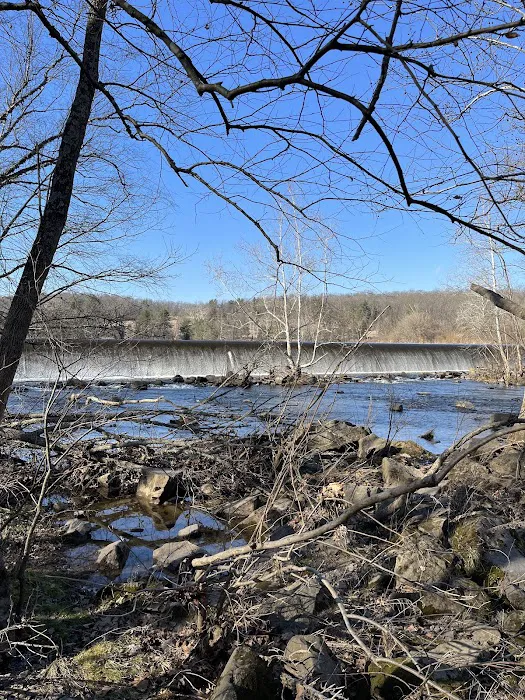 Green Lane Picture 8