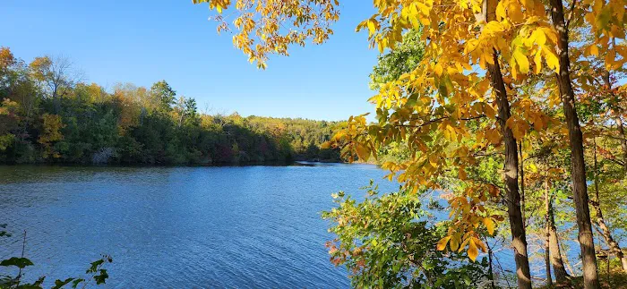 Green Lane Picture 5