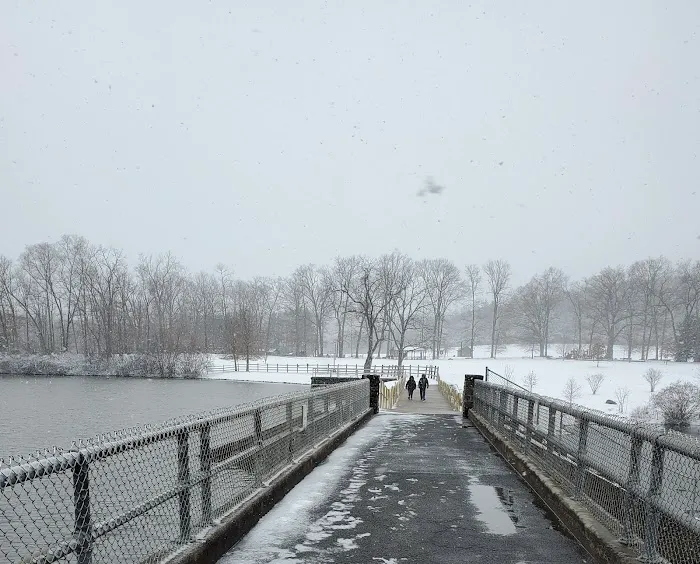 Green Lane Picture 4