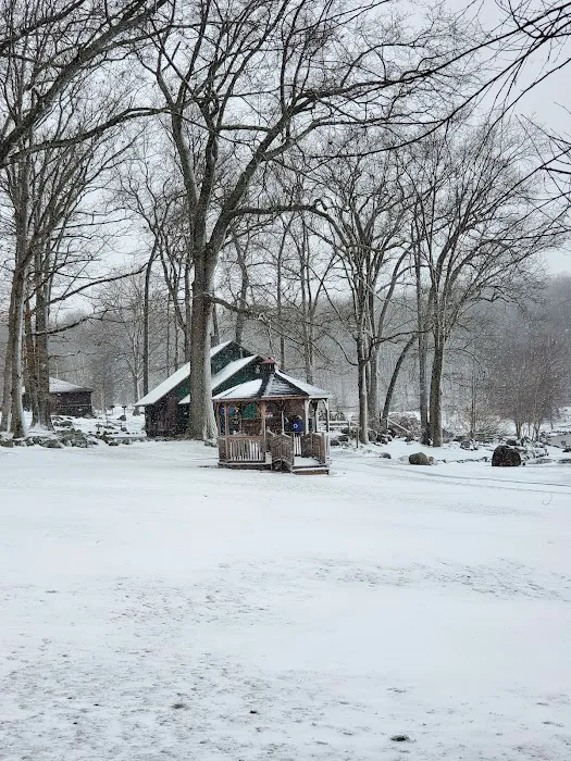 Green Lane Picture 6