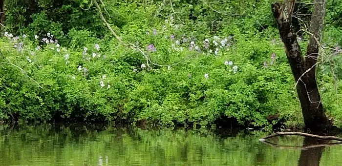 Marino Equestrian Campground Picture 7