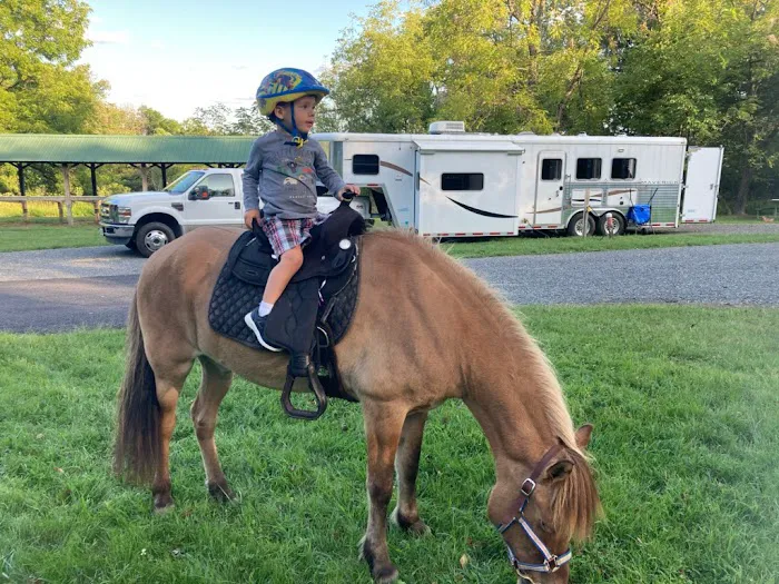 Marino Equestrian Campground Picture 2