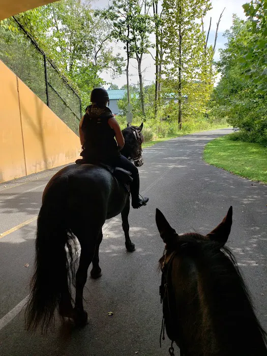 Marino Equestrian Campground Picture 9