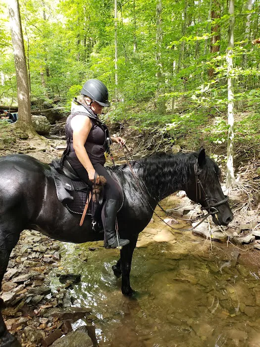 Marino Equestrian Campground Picture 6