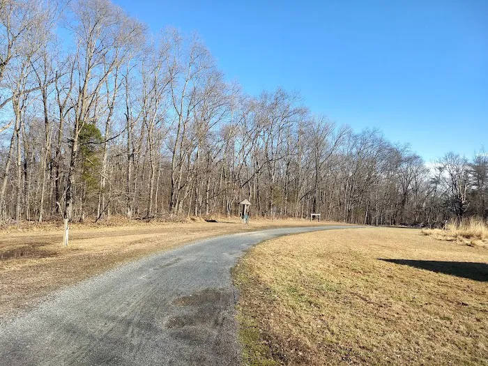 Marino Equestrian Campground Picture 3