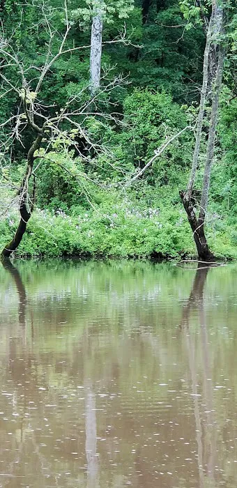 Marino Equestrian Campground Picture 8