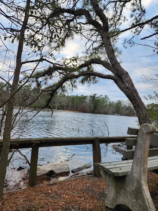 Bellplain State Forest Astronomy Picture 1