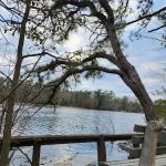 Bellplain State Forest Astronomy