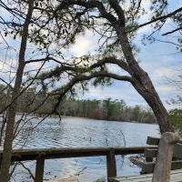 Bellplain State Forest Astronomy ico