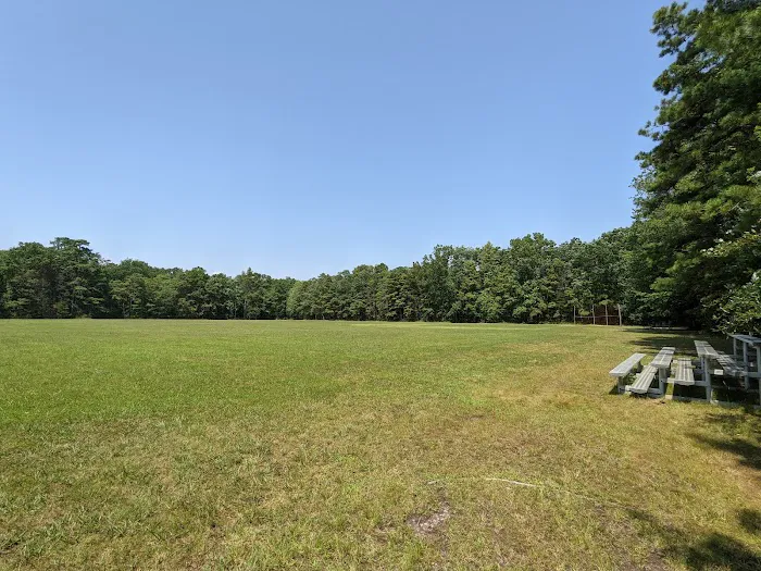 Bellplain State Forest Astronomy Picture 6