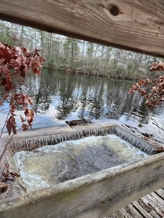 Bellplain State Forest Astronomy Picture 2