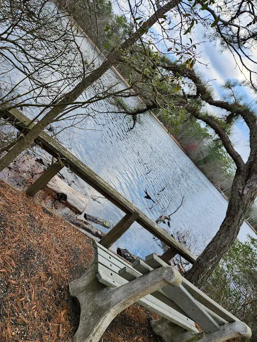 Bellplain State Forest Astronomy Picture 7