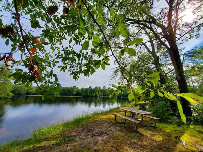 Lake Nummy Picture 1