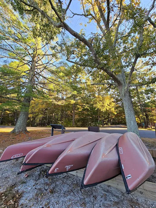 Lake Nummy Picture 8