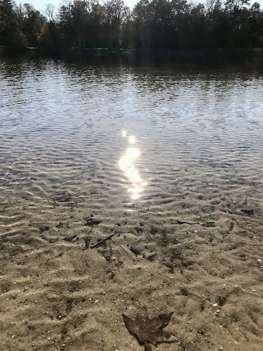 Lake Nummy Picture 10