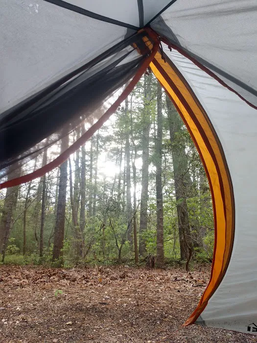 Belleplain Gate House Picture 8