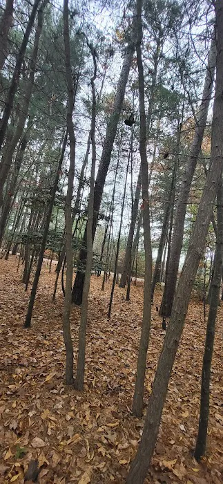 Belleplain Gate House Picture 6