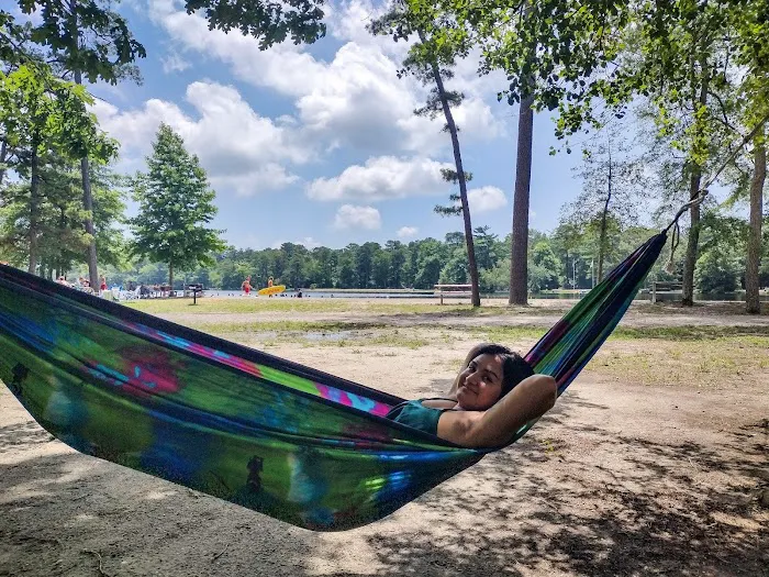 Belleplain Gate House Picture 3