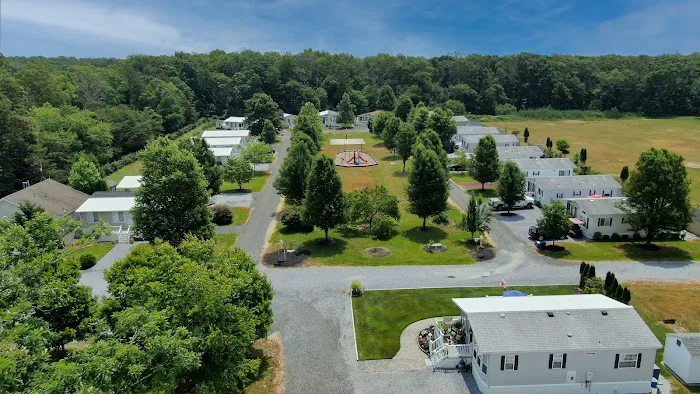 Carol Lynn Resorts East Picture 6