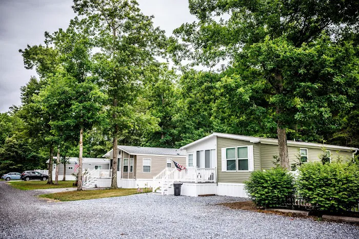 Carol Lynn Resorts East Picture 8