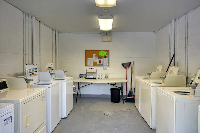 Carol Lynn Resorts East Picture 4