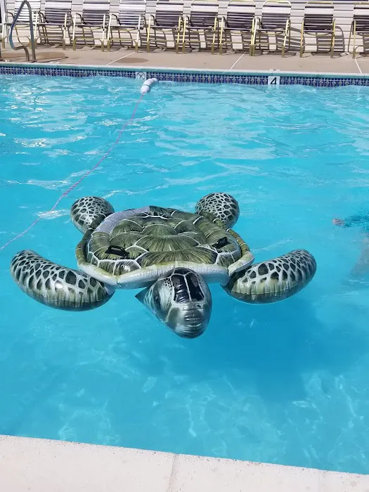 Ocean Sands Resorts & Associates Picture 2