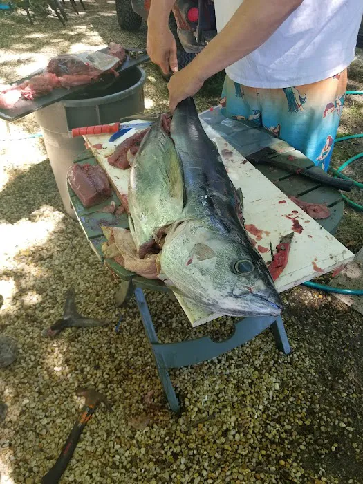 Red Oak Shores Campground Picture 9