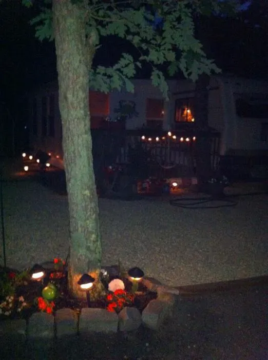 Red Oak Shores Campground Picture 4