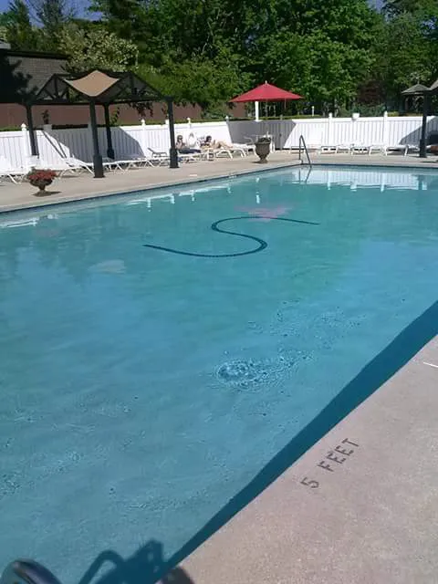 Seaville Shores Picture 8