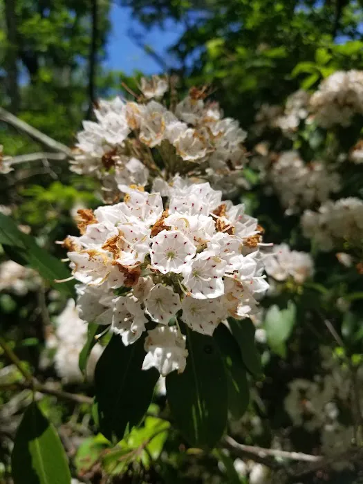 Seaville Shores Picture 9