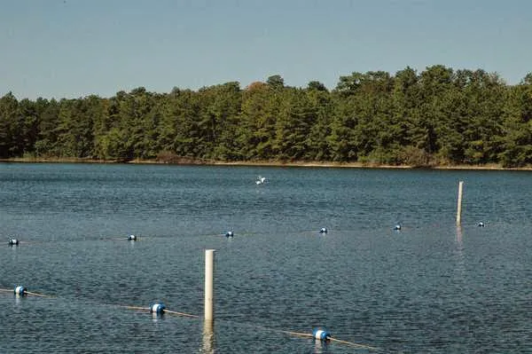 Thousand Trails Lake & Shore Picture 3