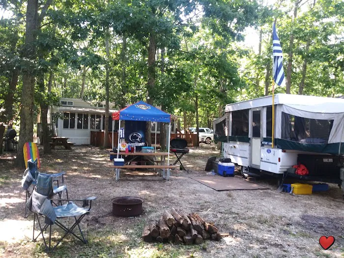 Sea Grove Camping Resort Picture 8