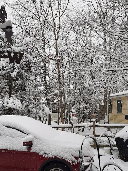 Seashore Line Camper Resort Condominium Association, Inc. Picture 9