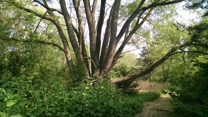 Seashore Line Camper Resort Condominium Association, Inc. Picture 10