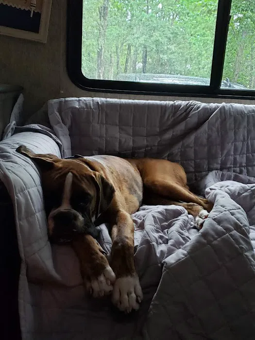 Tamerlane Campground Picture 5